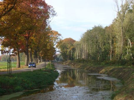 Griendtsveen : Lavendellan, Herbstimpressionen